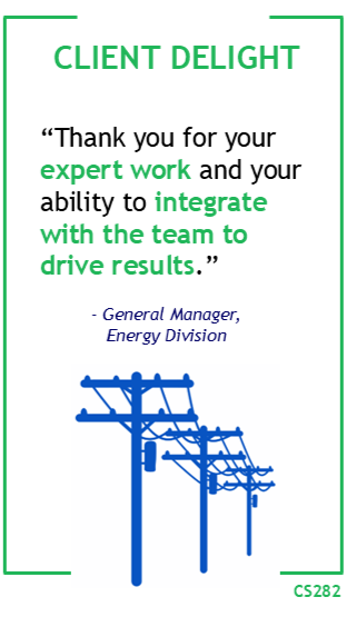 Client Delight: "Thank you for your expert work and your ability to integrate with the team to drive results." - General Manager, Energy Division.
